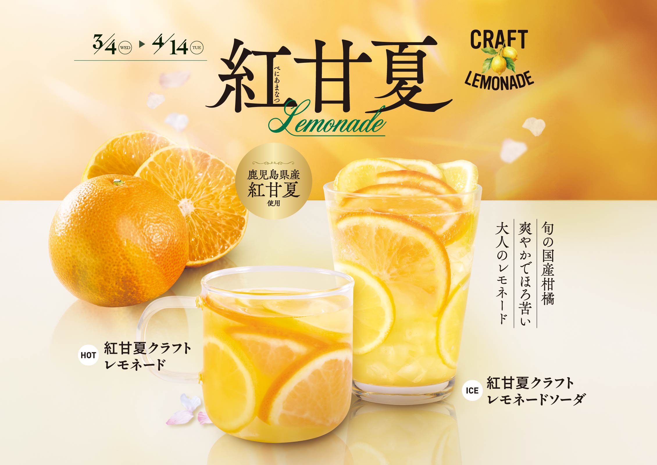 鹿児島県紅甘夏クラフトレモネード