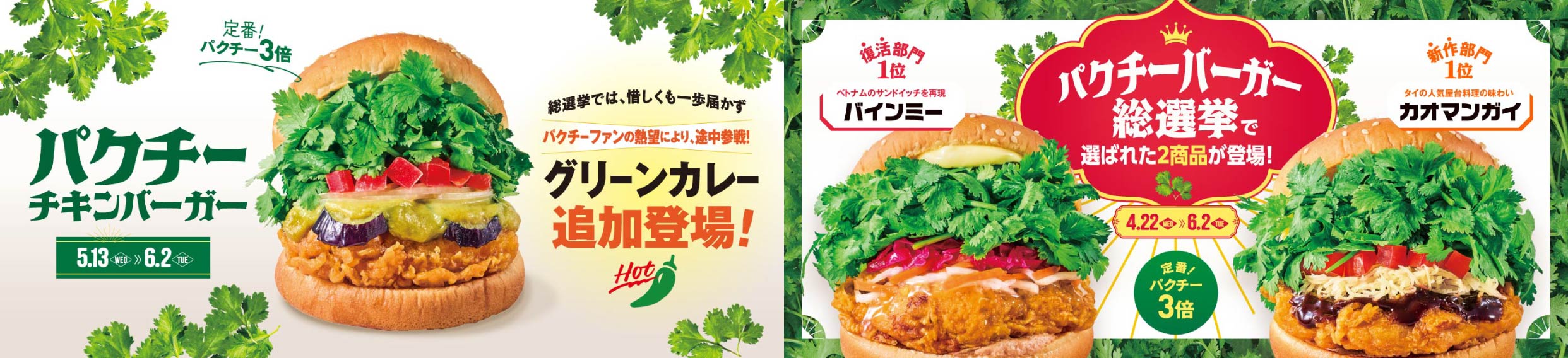 「グリーンカレー」熱望の声で途中参戦！パクチーチキンバーガー