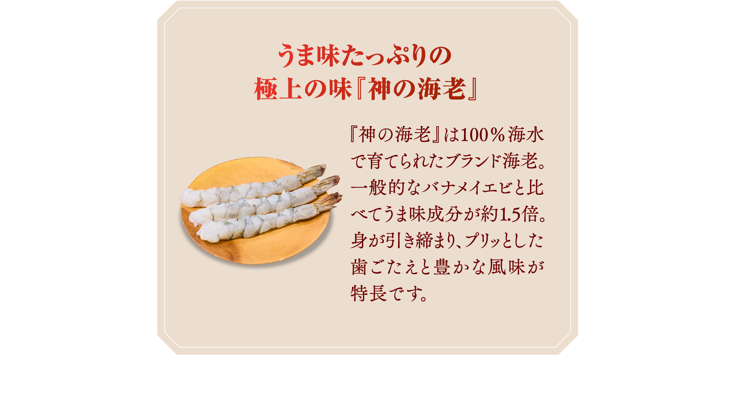 うま味たっぷりの極上の味「神の海老」